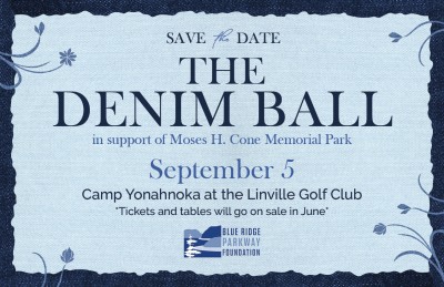 Denim Ball save the date invitation