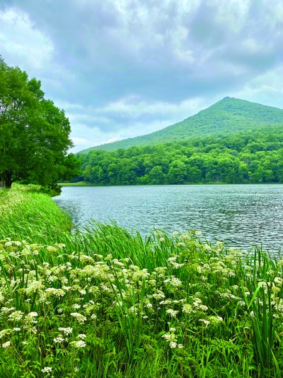 View of Sharp Top Mountain in spring, with Abbott Lake and flowers in foreground.