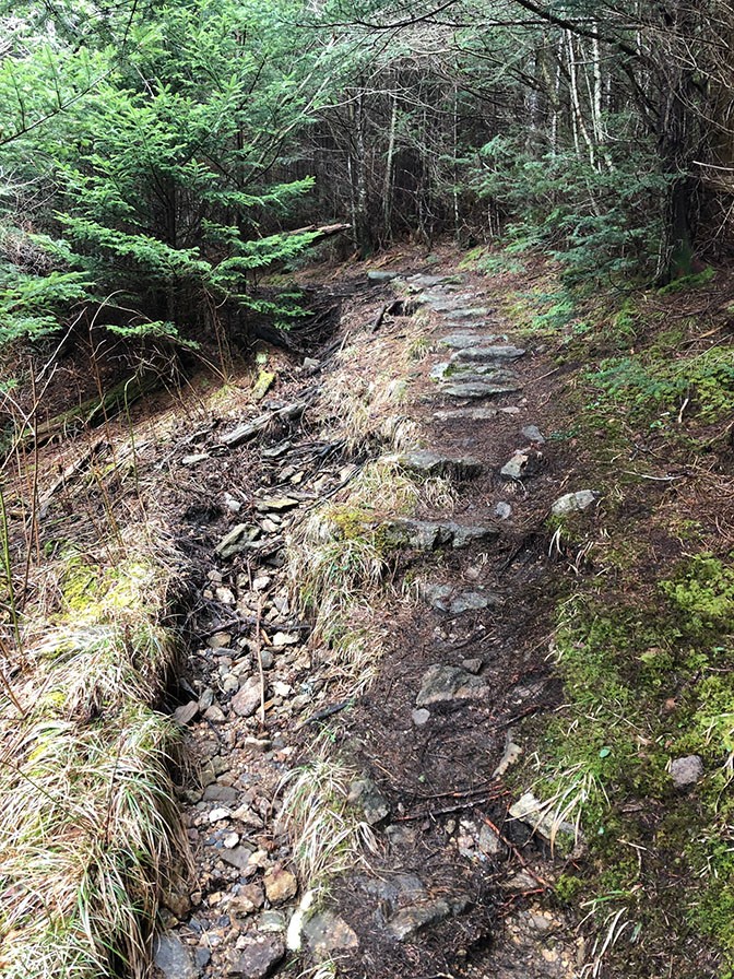 An eroded trail at Richland Balsam